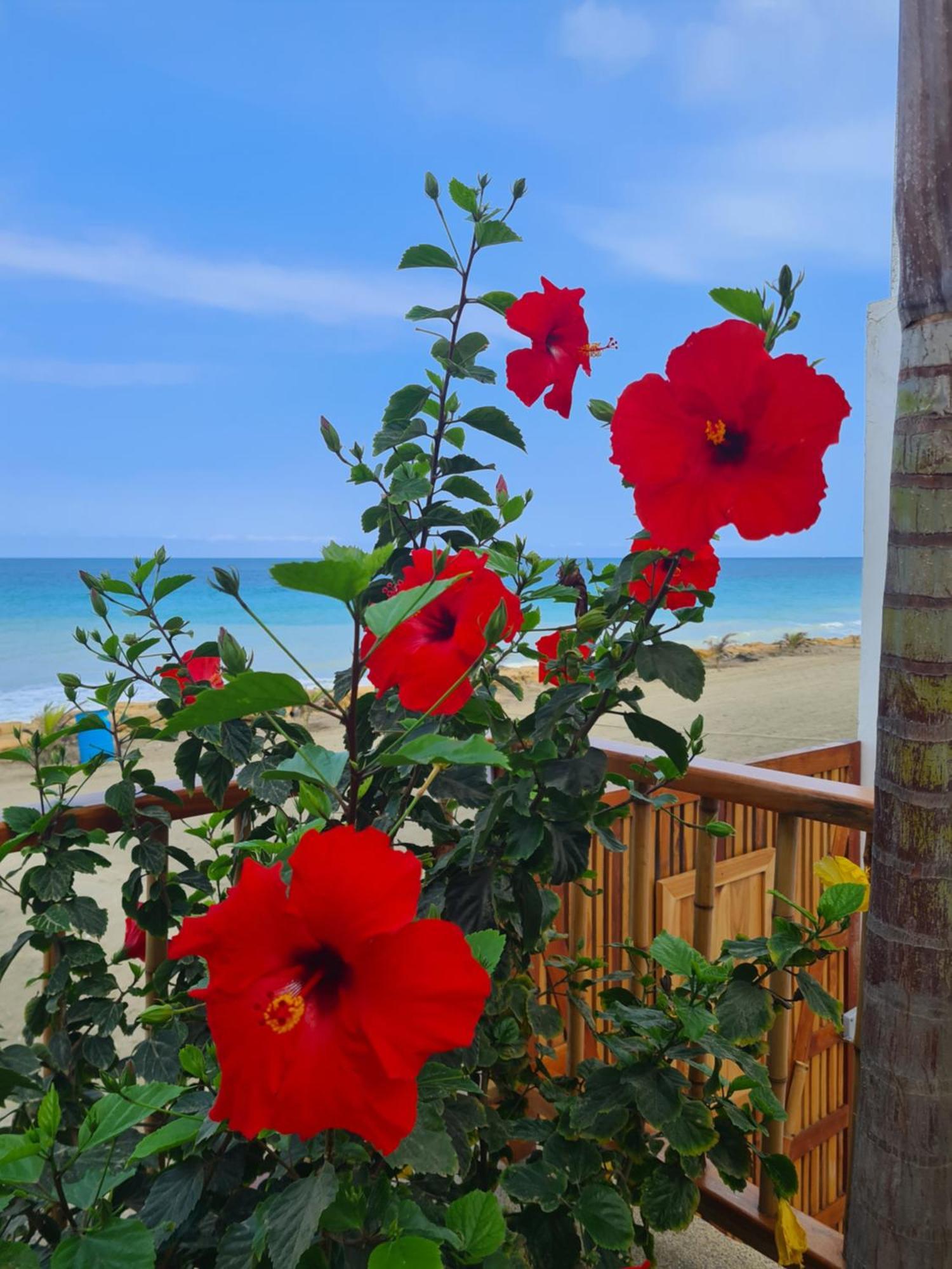 Intiquilla Hotel Manta Εξωτερικό φωτογραφία